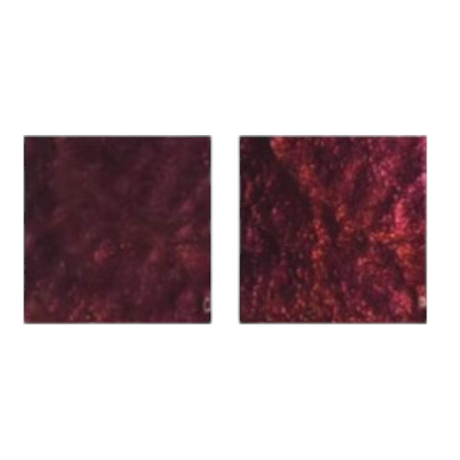 Emaille poeder, Emailleer poeder. Red (R-0588) Transparant