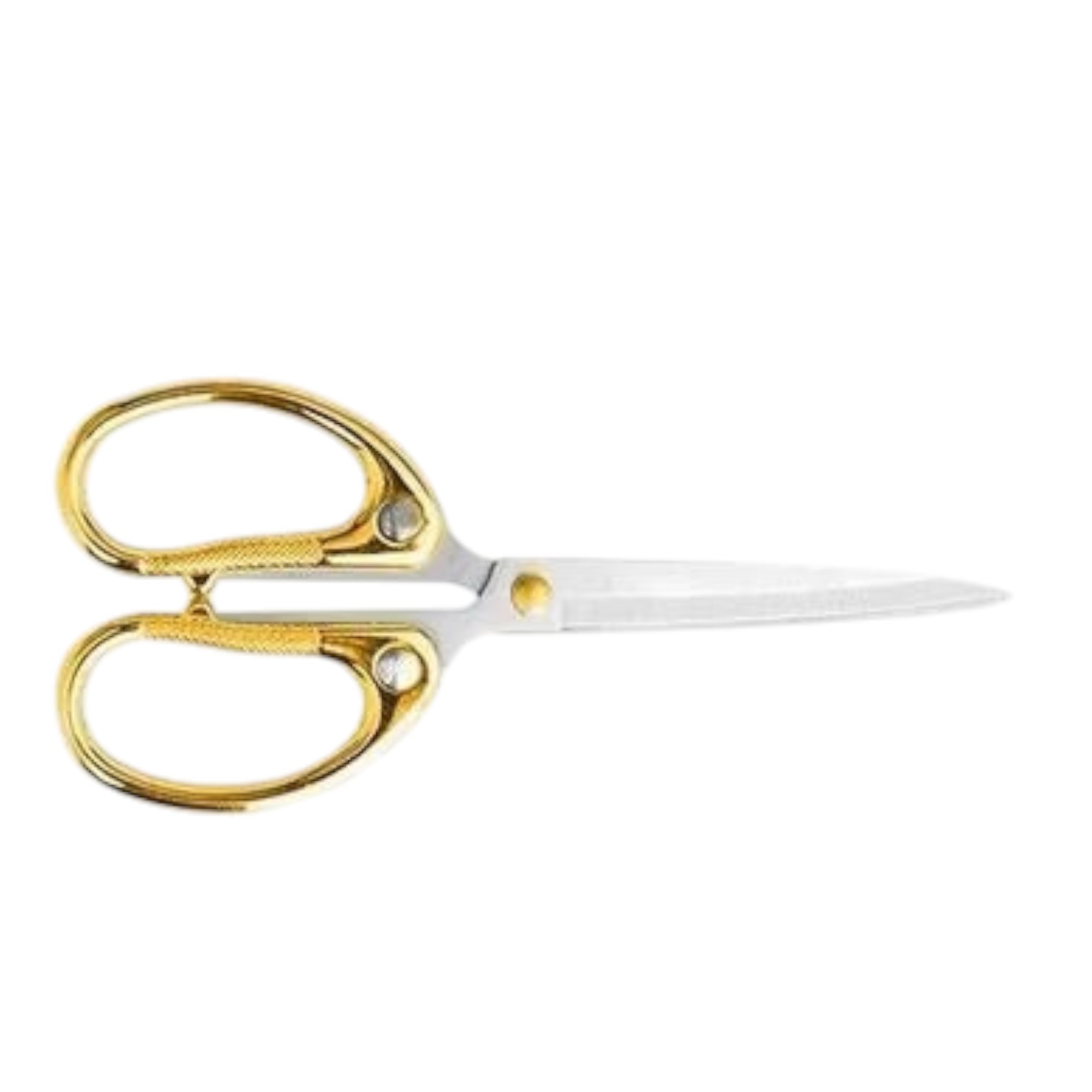 Professioneel schaartje voor fijn knipwerk. Steel