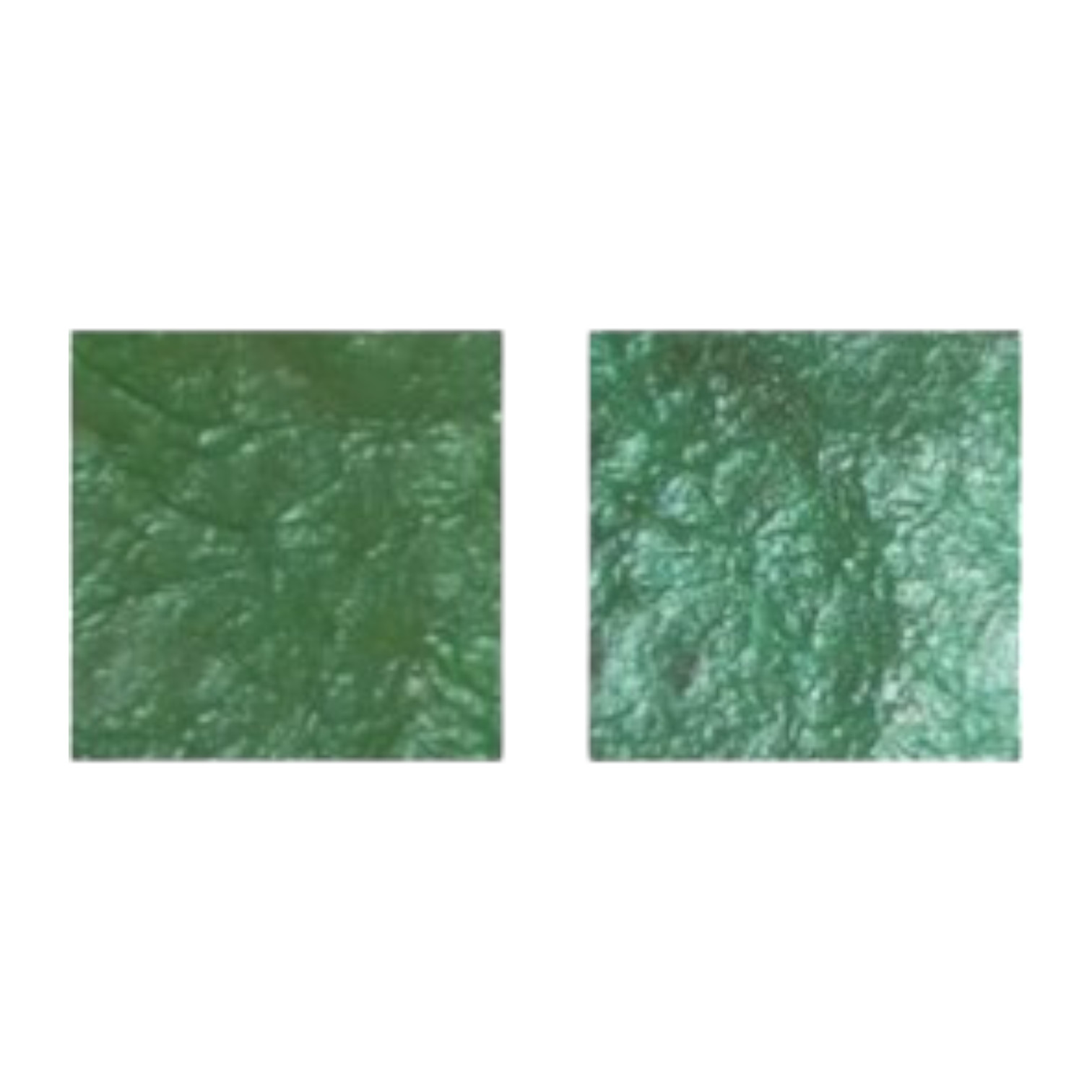 Emaille poeder, Emailleer poeder. Lime Green (R-0187) Transparant