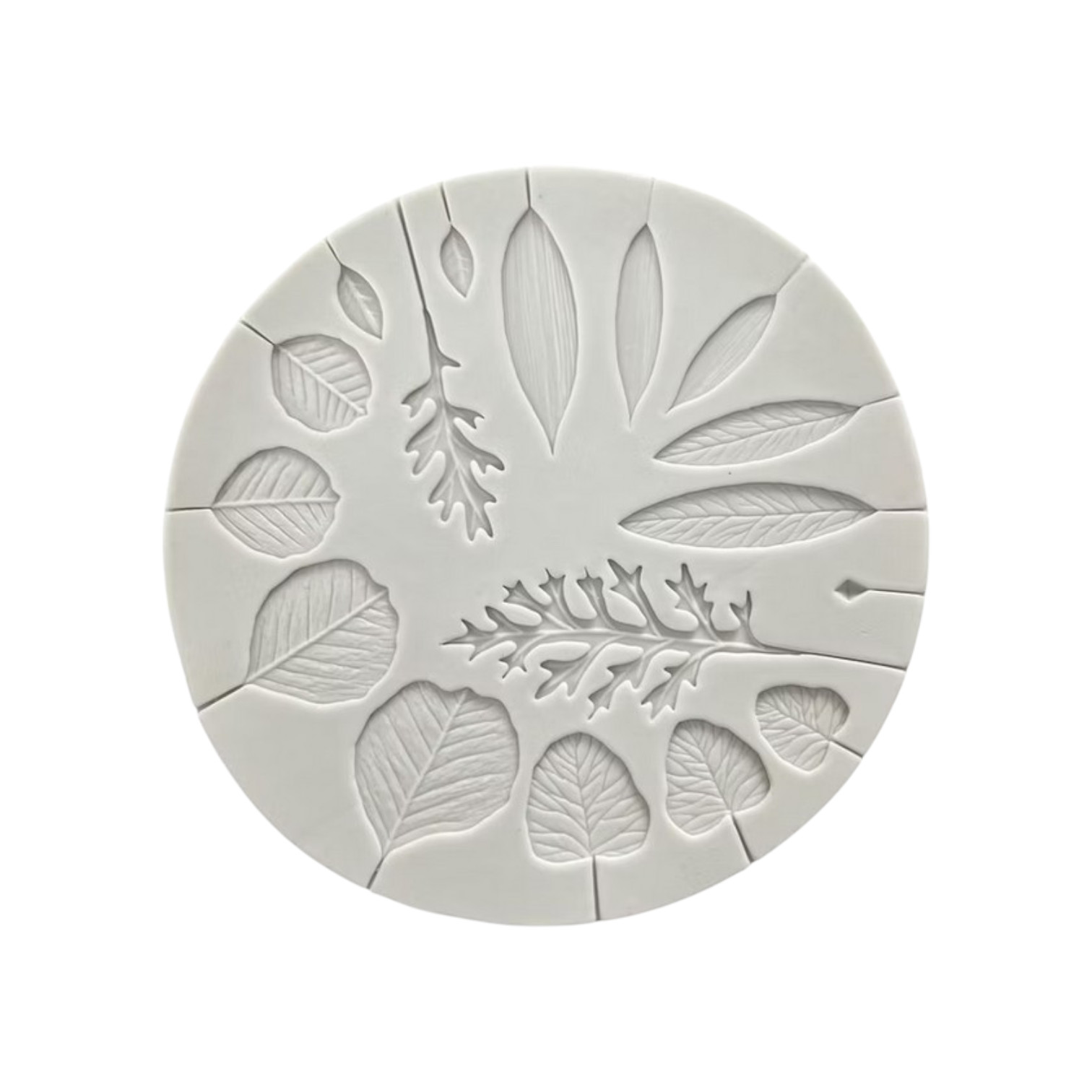 Siliconen mal met verschillende bladeren.