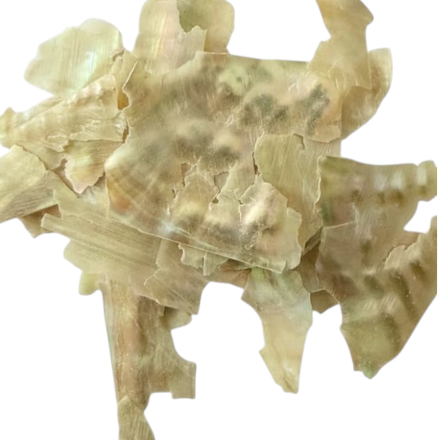 Abalone, schelp snippers voor inlay. Shell. Parelmoer. 5gram Diverse kleuren - Afbeelding 2