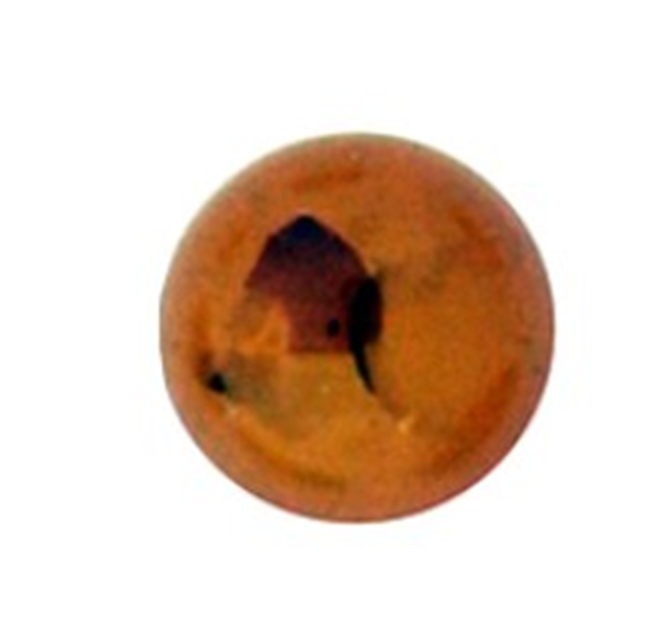 Barnsteen Natuursteen cabochon Rond Diverse afmetingen