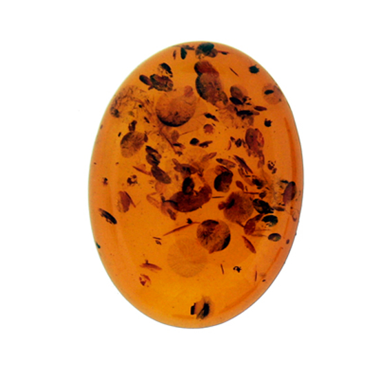 Barnsteen Natuursteen cabochon Ovaal Diverse afmetingen