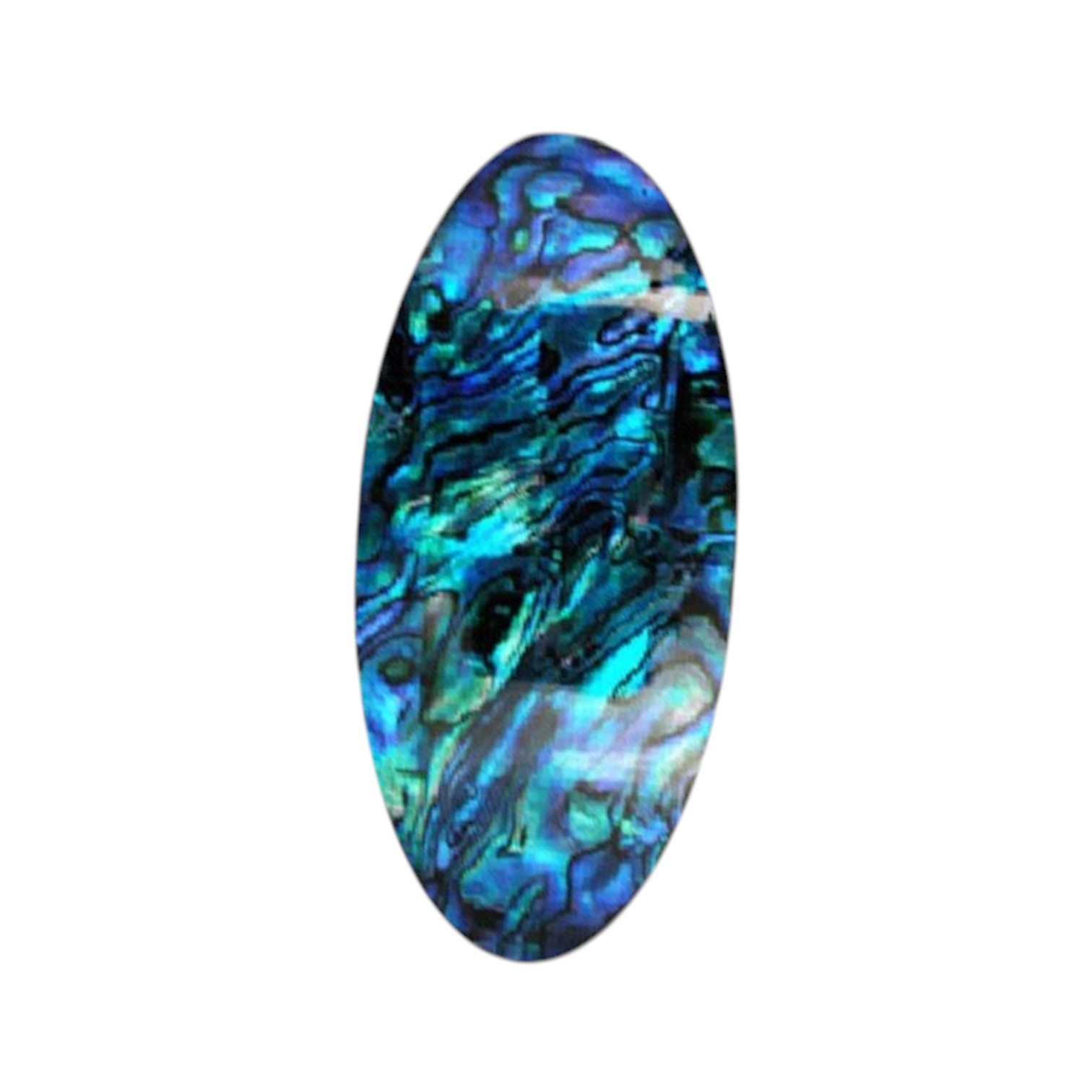 Paua Schelp / Shell cabochon Ovaal. Langwerpig 14*23 mm
